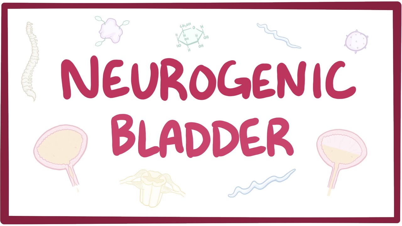 Neurogenic bladder - causes, symptoms, diagnosis, treatment, pathology