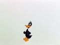 Looney Tunes My Favorite Duck Closing