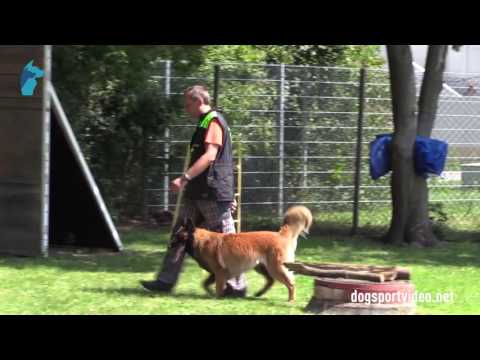 1. DMV Championat - Robert Šaše - Chanuka Deabei