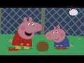Buonanotte Animaletti Episodio Completo HD