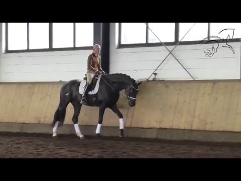 Wallach von Don Index