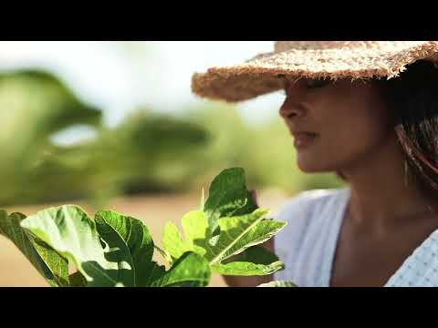 Authentic Puglia Experience - Borgo Mulino a Vento