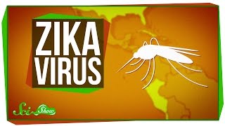 SciShow - Zika Virus: What We Know (And What We Don't)