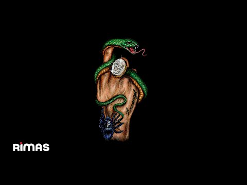 Arcángel, Peso Pluma - La Chamba (Visualizer) | Sentimiento, Elegancia y Más Maldad