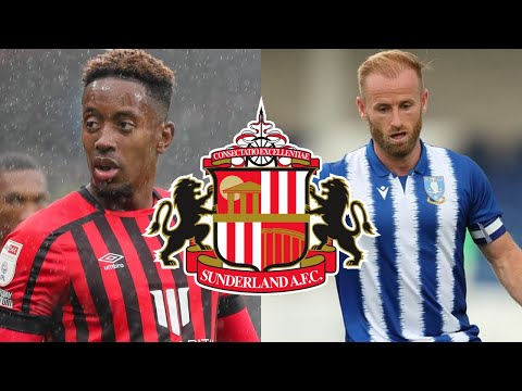 Who should Sunderland sign this summer?