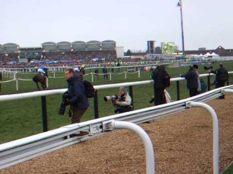 Cheltenham Festival - Amazing Finish