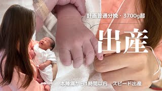 birth vlog｜2人目出産しました👶🏻🤍初めての立ち会い🤝🏻