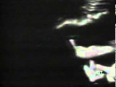 Jay & The Americans - Cara Mia (Shindig 1965).mpg