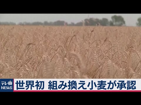 オピリオネスについて詳しく解説