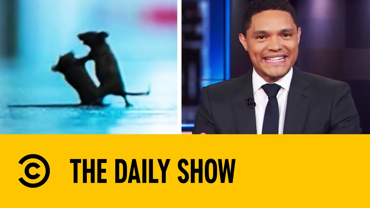 Fact, Fiction, And The Fight Over The Crown - book-news.org