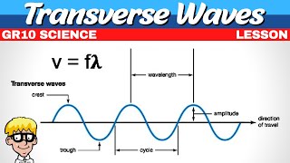 Transverse Waves Grade 10