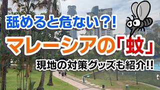 【マレーシア暮らし】舐めると危ない!マレーシアに潜む『蚊』の脅威?!現地駐在員おすすめ対策グッツもご紹介!