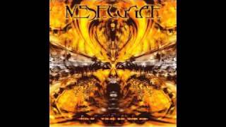 Meshuggah - Glints Collide (2002 Mix)