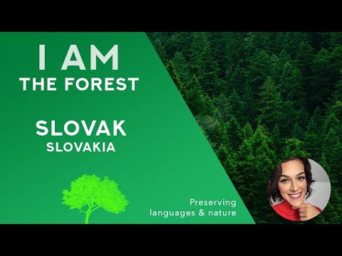 I AM the forest - Slovak