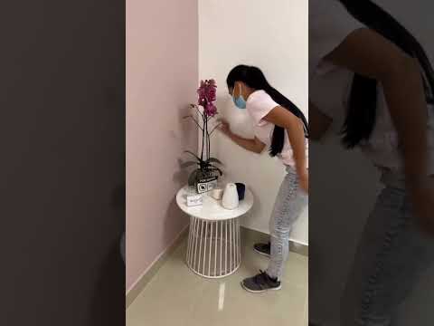 Deglutiré Barranquilla - Dra. Valentina Ponnefz fonoaudióloga y deglutóloga