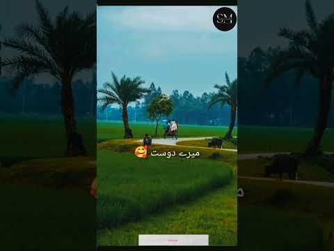 sacchai ka rasta#short #video