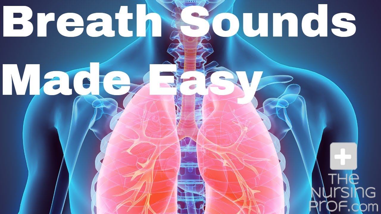 Simple Nursing: Breath Sounds Made Easy