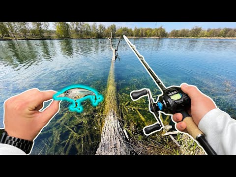 So FÄNGST du ganz EINFACH HECHTE vom Ufer!!! #saisonstart