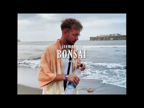 jsemprinc - BONSAI (iphone video)