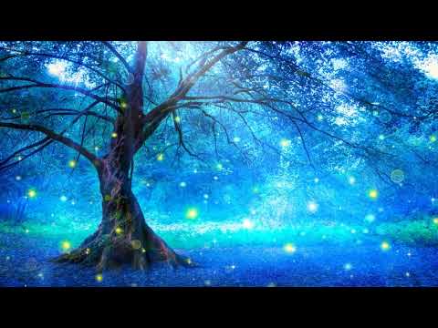 10 ore di musica rilassante per il sonno antistress, insonnia 10시간 잔잔한 수면음악  스트레스 해소음악, 잠잘때 듣는 음악,