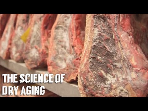 "Science of Dry Aging" by George Motz