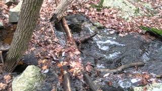 preview picture of video 'The babbling brooks and rivers at Wilson Mountain Reservation in Dedham, MA'