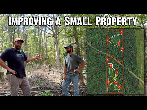 Developing a Habitat Improvement Plan in Northern Louisiana