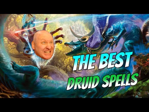 Best Druid Spells (for every level) Dnd 5.5e 2024