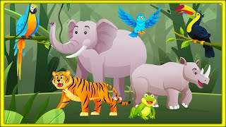 Learn Jungle Animals for Kids
