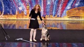 Chandi - a dancing dog