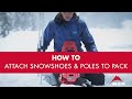 MSR Tasche Snowshoe Carry Pack
