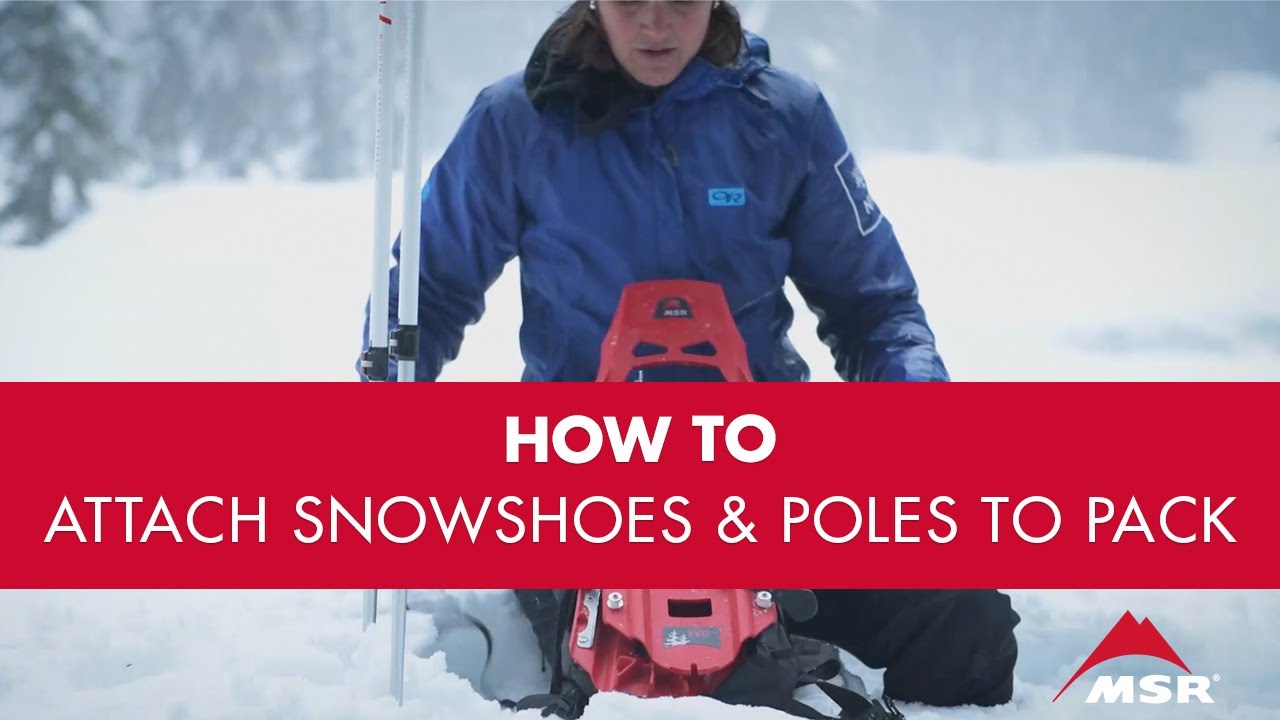 MSR Tasche Snowshoe Carry Pack