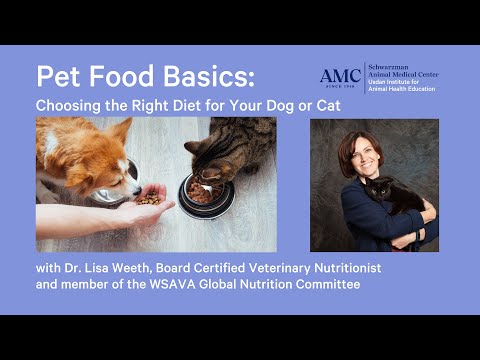 Pet Food Basics: Choosing the Right Diet for Your Dog or Cat with Dr. Lisa Weeth