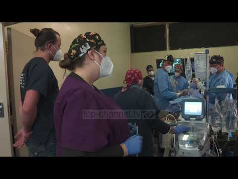 Top News - Afrikë e Jugut/ Gorilla në ndërhyrje kirurgjikale