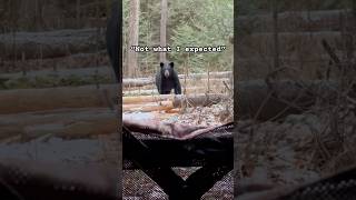 When You Pull The Beef Jerky Out 🤣 #hunting #nature #outdoors #wildlife #bears #survival #shtf