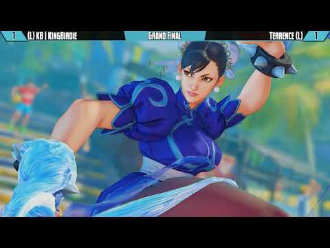 Gwinnett Brawl Oct 14, 2017 - Street Fighter V