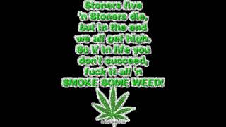 Paul Wall - Smoke Weed Everyday (feat. Devin The Dude &amp; Z-Ro)