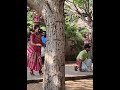 Traditional Dance Karakattam Kokiz Vlog