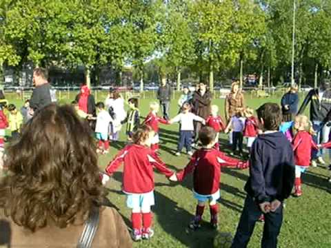 welpen zwaluwen utrecht 1911