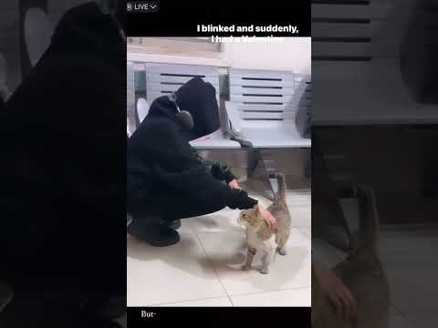 Nehaal Naseem #nehaalnaseem