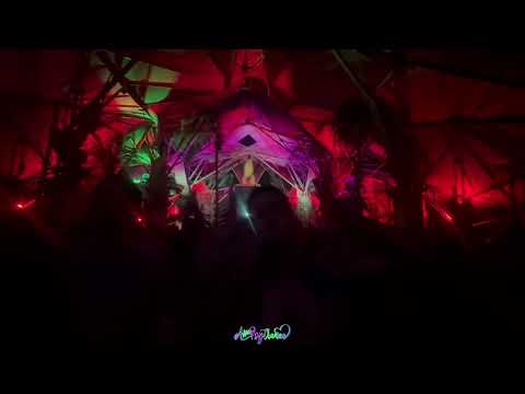 Animalien // Universo Paralello 2024-2025