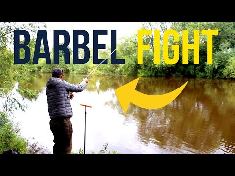 EPIC BARBEL FISHING BATTLE