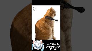 ネコに怒られないようにブラッシングしてあげるゲーム『Brush Jjaemu』　#shorts #funny #cat #猫ミーム