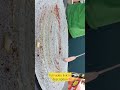 Biggest Masala Dosa Rs 60 Only Shorts Streetfood Foodlover