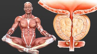 Download lagu Varicocele exercise for men mp3