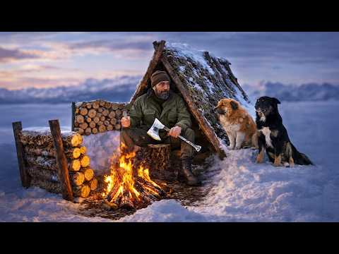 Winter Bushcraft Shelter in the Mountains | Living with Dogs in the Snow