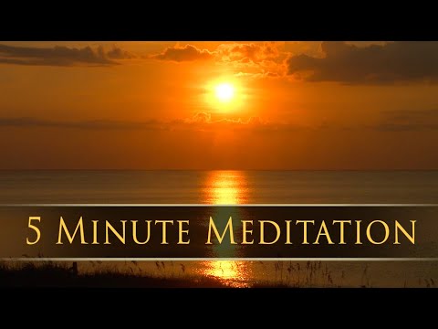 5 Minute Meditation Music for Relaxation ✨ Peacefull Wellness ✨ Destress