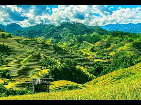 Deuteronomy 4 by Steven Anderson