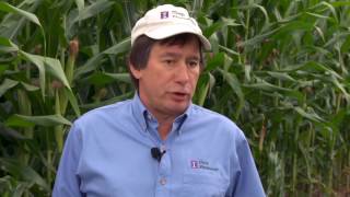 Ammonium Sulfate for High Yield Systems  Part One
