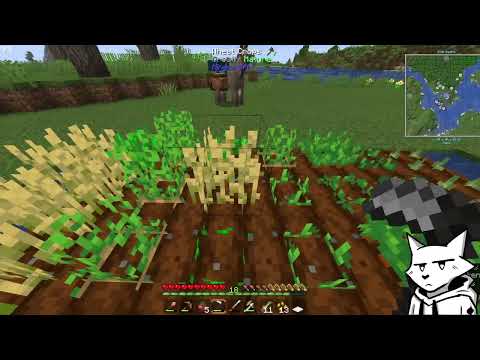 EPIC MODDED MINECRAFT CATASART VODS: Automation & Agriculture Madness!